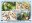 <img src=/images/vizitky/thumbnail/a-19-bohemia-orienteering-2017.jpg>