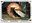 <img src=/images/vizitky/thumbnail/aquarium-berlin-7161.jpg>