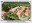 <img src=/images/vizitky/thumbnail/cz-1152-kladruby-hrebcin-ver-3.jpg>