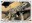 <img src=/images/vizitky/thumbnail/de-1357-darmstadt-vivarium.jpg>