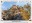 <img src=/images/vizitky/thumbnail/de-40-scharfenstein.jpg>