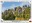 <img src=/images/vizitky/thumbnail/de-5-nonnenfelsen.jpg>