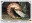<img src=/images/vizitky/thumbnail/de-556-berlin-aquarium.jpg>