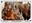<img src=/images/vizitky/thumbnail/gombasecka-jaskyna-3856.jpg>