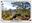 <img src=/images/vizitky/thumbnail/grosses-pohlshorn-3832.jpg>
