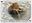 <img src=/images/vizitky/thumbnail/medvedarium-v-beroune-1193.jpg>