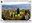 <img src=/images/vizitky/thumbnail/ornament-zahr-botanicke-zahr-praha-6743.jpg>