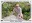 <img src=/images/vizitky/thumbnail/p-33-griotix-michal-pietsch.jpg>
