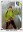 <img src=/images/vizitky/thumbnail/p-39-robik-robert-nerusil.jpg>