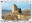 <img src=/images/vizitky/thumbnail/pl-42-zamek-chojnik.jpg>