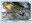 <img src=/images/vizitky/thumbnail/sk-1-ferrata-slovensky-raj-kysel-ver-1.jpg>