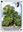 <img src=/images/vizitky/thumbnail/svatojanska-lipa-v-dobrichovicich-6847.jpg>