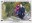 <img src=/images/vizitky/thumbnail/t-37-vlada-a-marta-d.jpg>