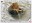 <img src=/images/vizitky/thumbnail/tv-461-medvedarium-v-beroune.jpg>