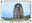 <img src=/images/vizitky/thumbnail/vyhliadkova-veza-tokaj-9539.jpg>