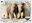 <img src=/images/vizitky/thumbnail/zoo-liberec-13230.jpg>