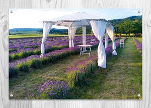 Bezděkovská levandule